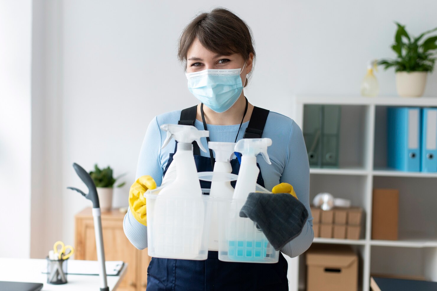 Standard and Regular Cleaning Services